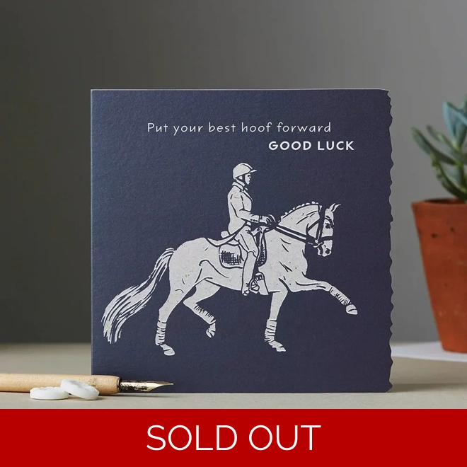 product Image for Deckled Edge Colour Block Pony Card 150 x 150mm  Good Luck - Dressage Horse